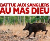 Battue de régulation des sangliers - JPEG - 59.4 ko